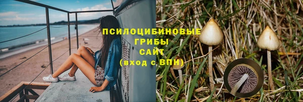 молекула духа Володарск