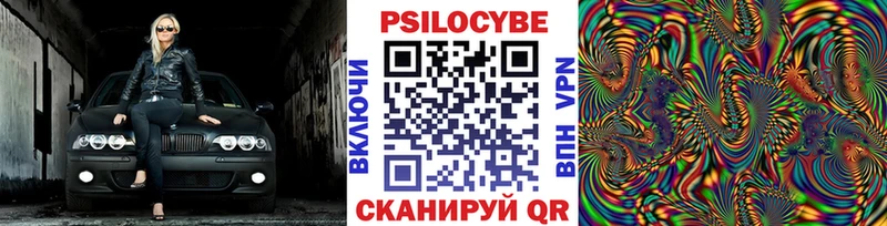 OMG ССЫЛКА  Карасук  Псилоцибиновые грибы Psilocybe 